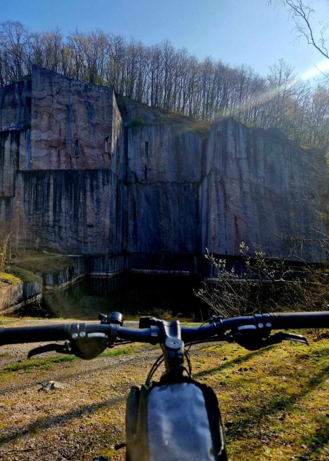 Gites Paille-Foin Cerfontaine Exteriör bild