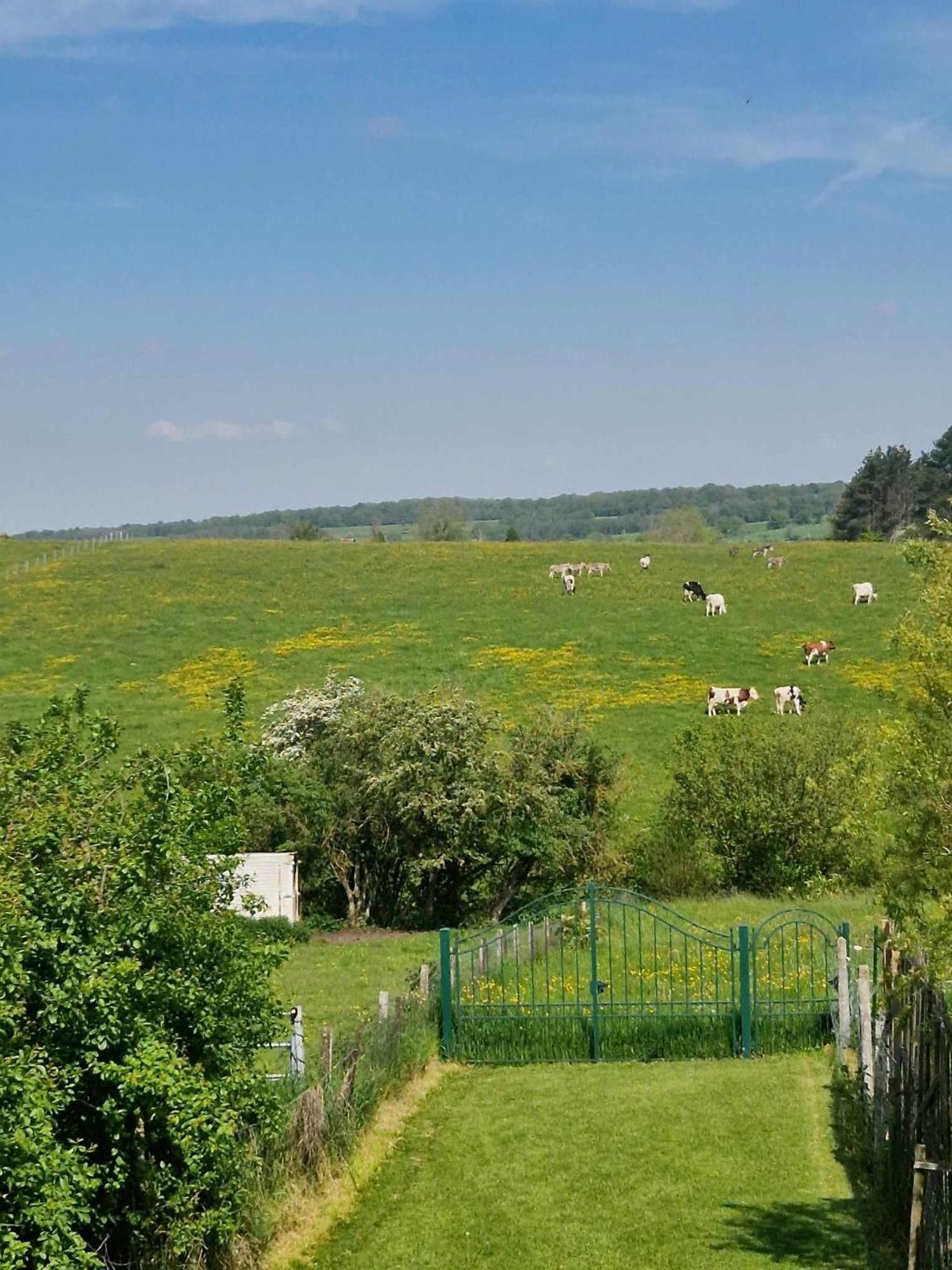 Gites Paille-Foin Cerfontaine Exteriör bild