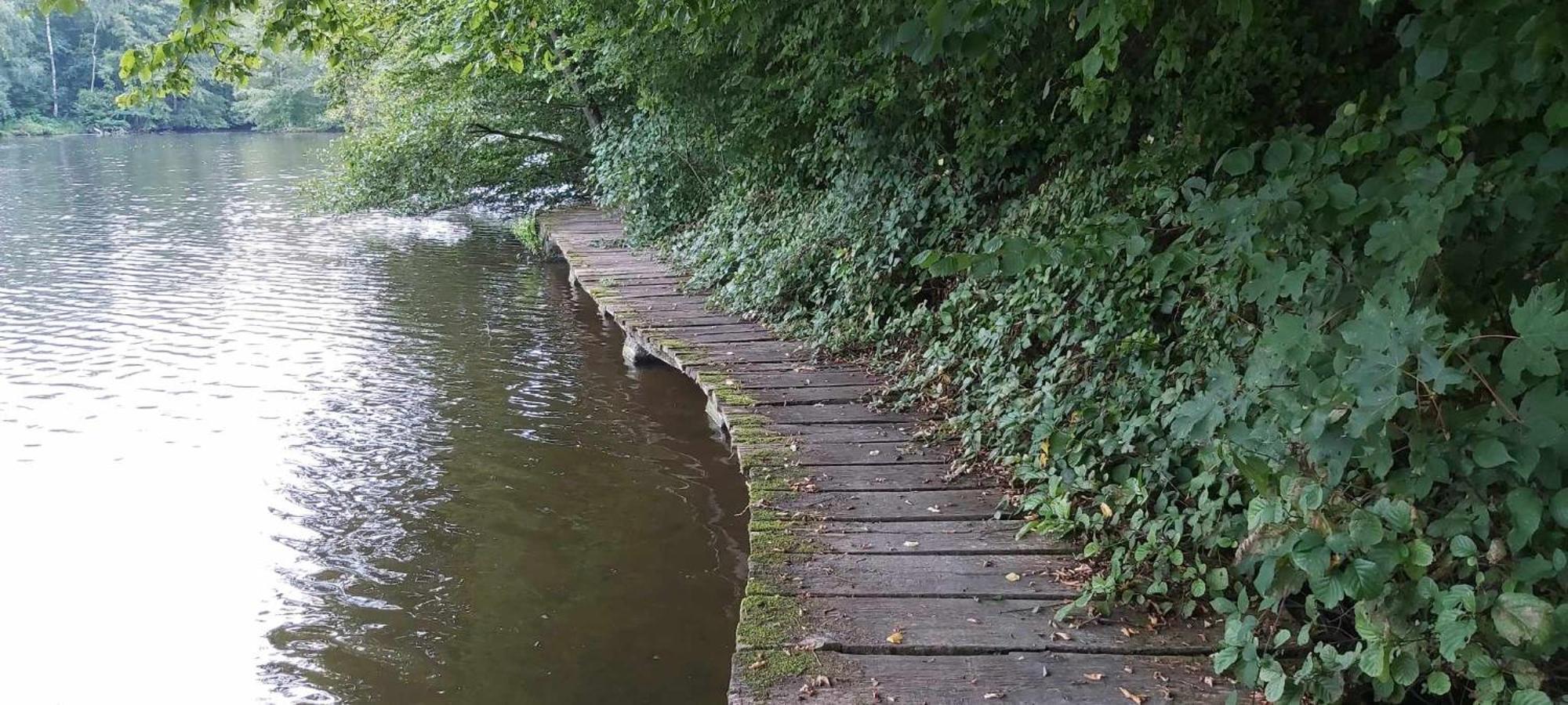 Gites Paille-Foin Cerfontaine Exteriör bild