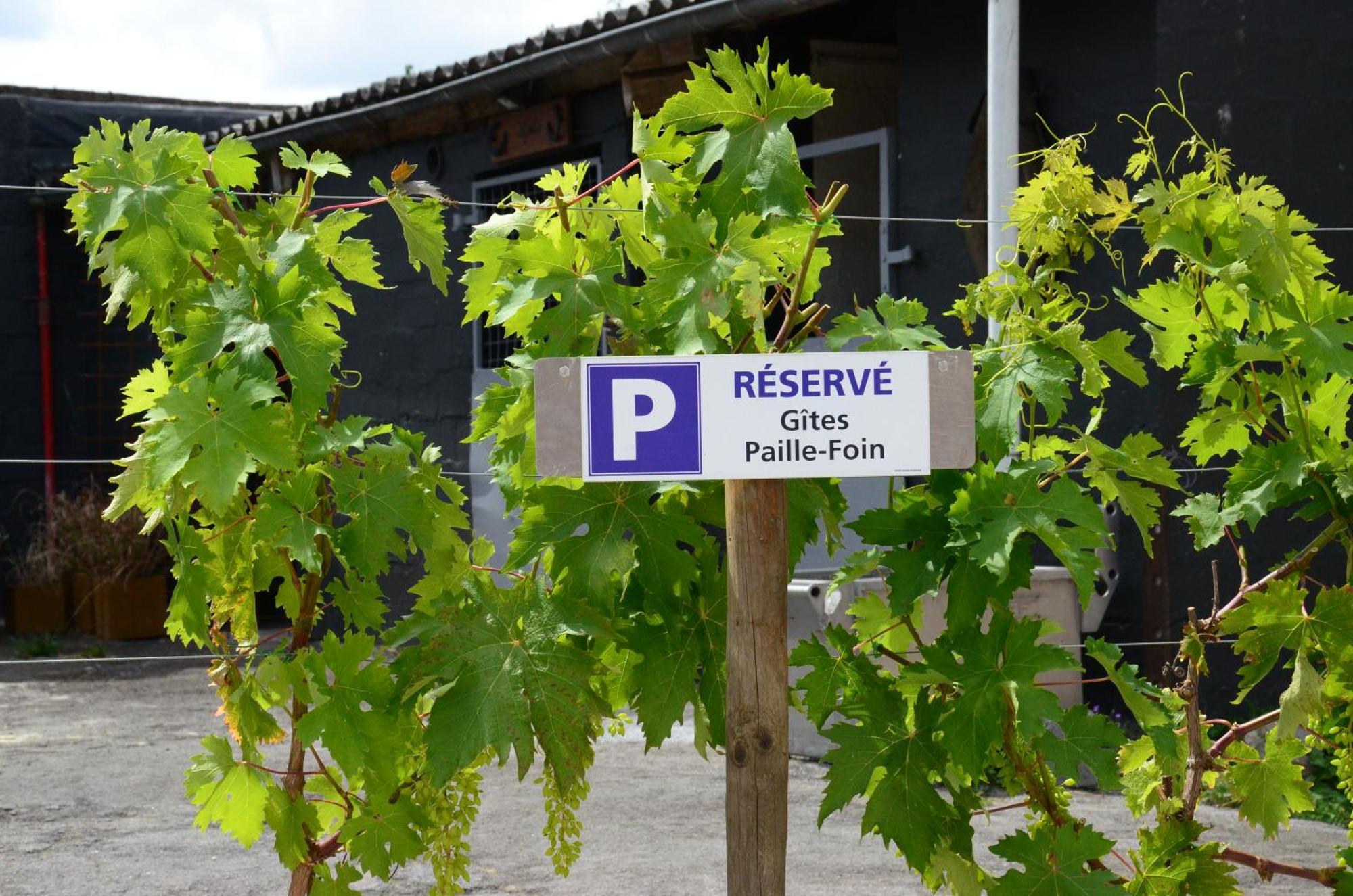 Gites Paille-Foin Cerfontaine Exteriör bild
